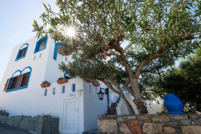 Schoner Blick, Sitia